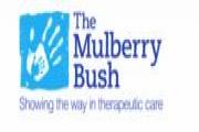 Mulberry Bush logo